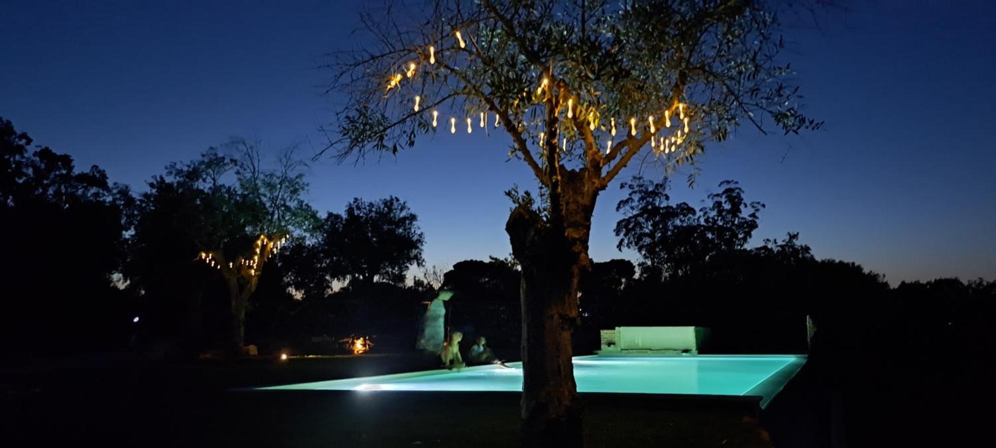 Quinta De Matrena Villa Macieiros Exterior photo